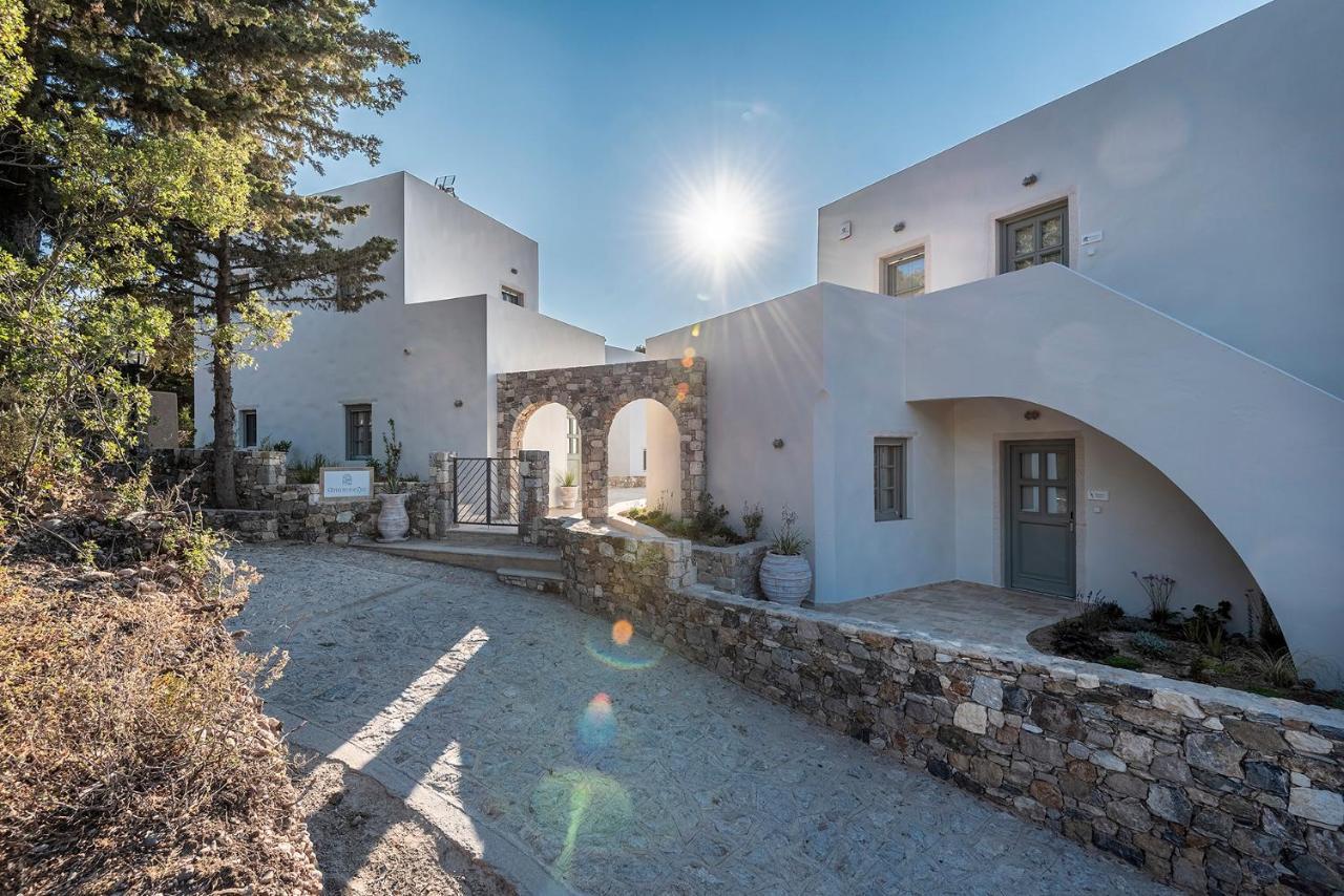 Anamnezia Luxury (adults Only) Villa *