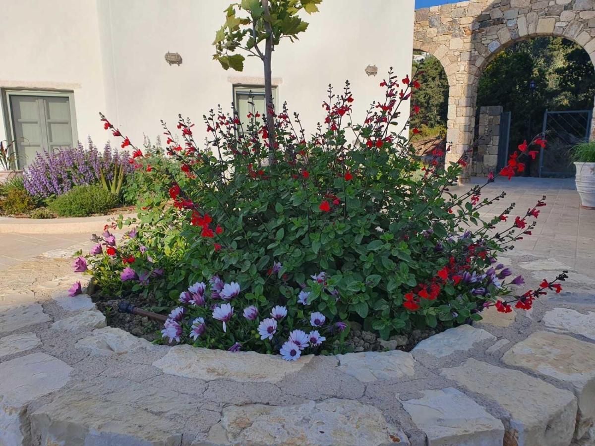 Villa Anamnezia Luxury (adults Only)